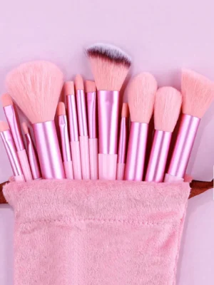 Set of 13 Portable Makeup Brushes with Velvet Bag, Including Blush