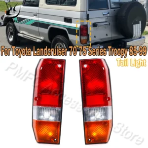 BuyerFriends Car Rear Tail Light Assembly Replacement