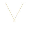 Gold-Tone Brass Choker Necklace for Women